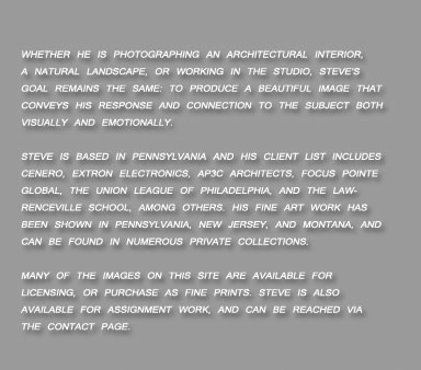 Steve Shook is a photographer living in Pennsylvania. Whether he is photographing an architectural interior,   a natural landscape, or working in the studio, his goal remains the same: to produce a beautiful image that   conveys his response and connection
to the subject both visually and emotionally.  